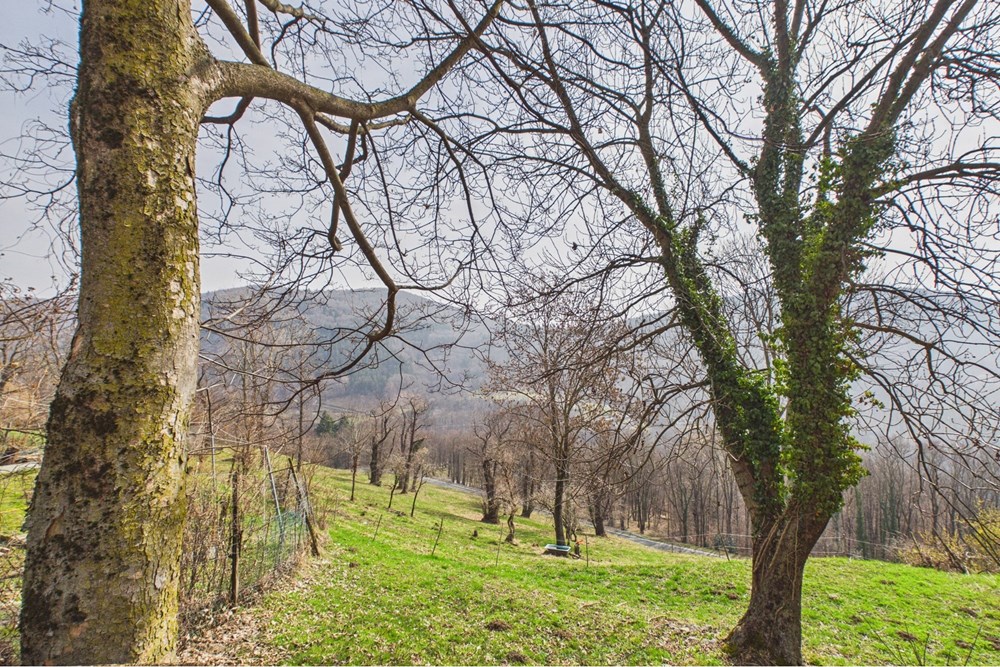 Einfamilienhaus - Kauf - Breno, Tessin - CAM02676G0-PR0072-STILL027.jpg - 119001099-100