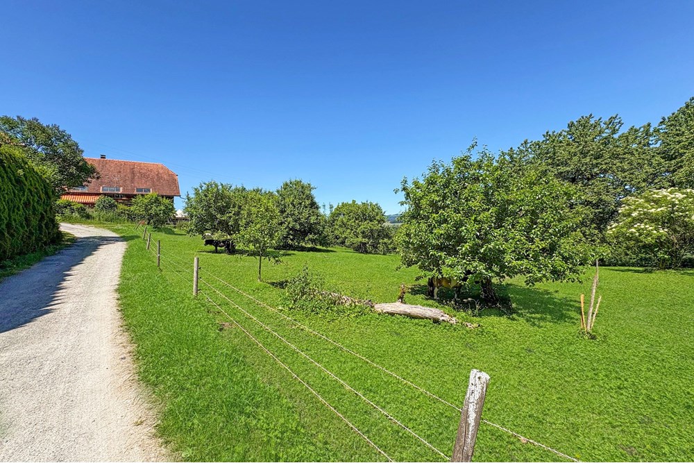 Bauernhof - Kauf - Belp, Bern - 2Oberaar-9.jpg - 119241015-253