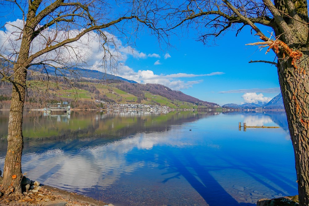 Einfamilienhaus - Kauf - Sachseln, Obwalden - Bild_00103225.jpg - 119721001-193