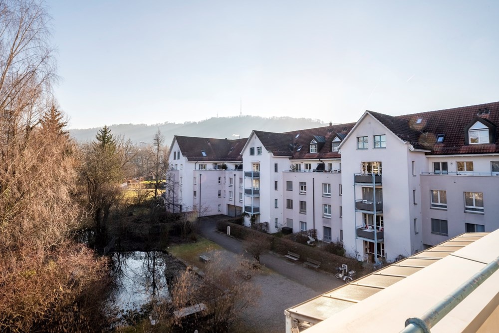 Maisonette - Kauf - Zürich, Zürich - 016 - Im Tiergarten 45, 8055 Zürich (Daniel Blake Fotografie).jpg - 111281001-47