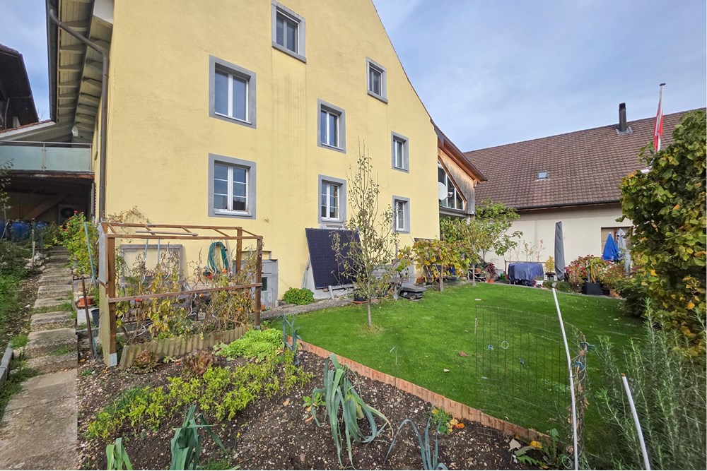 Einfamilienhaus - Kauf - Schinznach Dorf, Aargau - 20251029_134837.JPG - 119241016-289