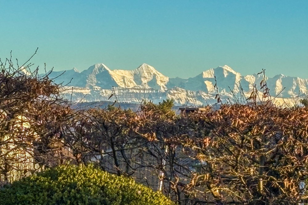 Einfamilienhaus - Kauf - Zollikofen, Bern - IMG_6002.jpg - 119621006-329