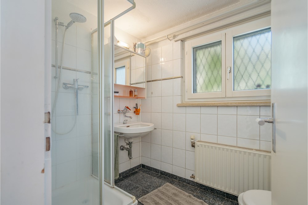 Einfamilienhaus - Kauf - Widen, Aargau - DSC05700.jpg - 118921016-189