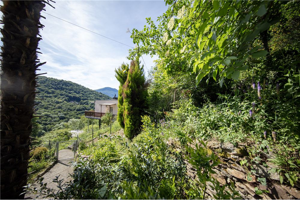 Einfamilienhaus - Kauf - Odogno, Tessin - 125 - 119871001-194
