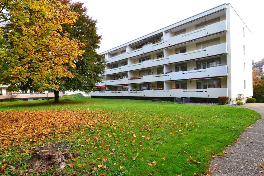 Wohnung - Kauf - Füllinsdorf, Basel-Landschaft - DSC_0078.jpg - 110031036-80