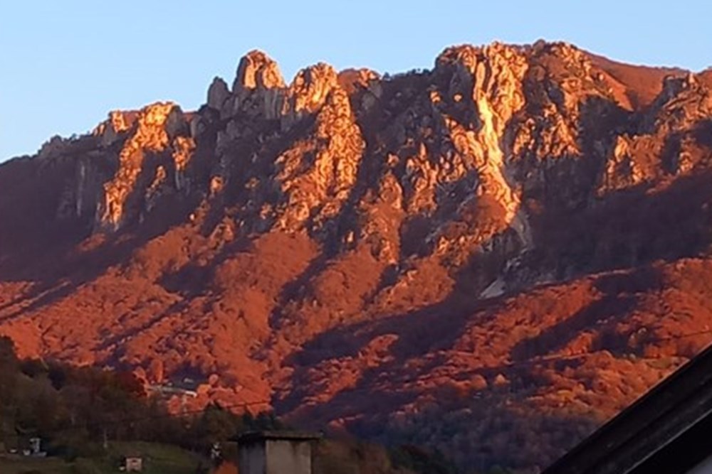 Einfamilienhaus - Kauf - Lugaggia, Tessin - PHOTO-2026-03-02-11-54-33.jpg - 119001097-37