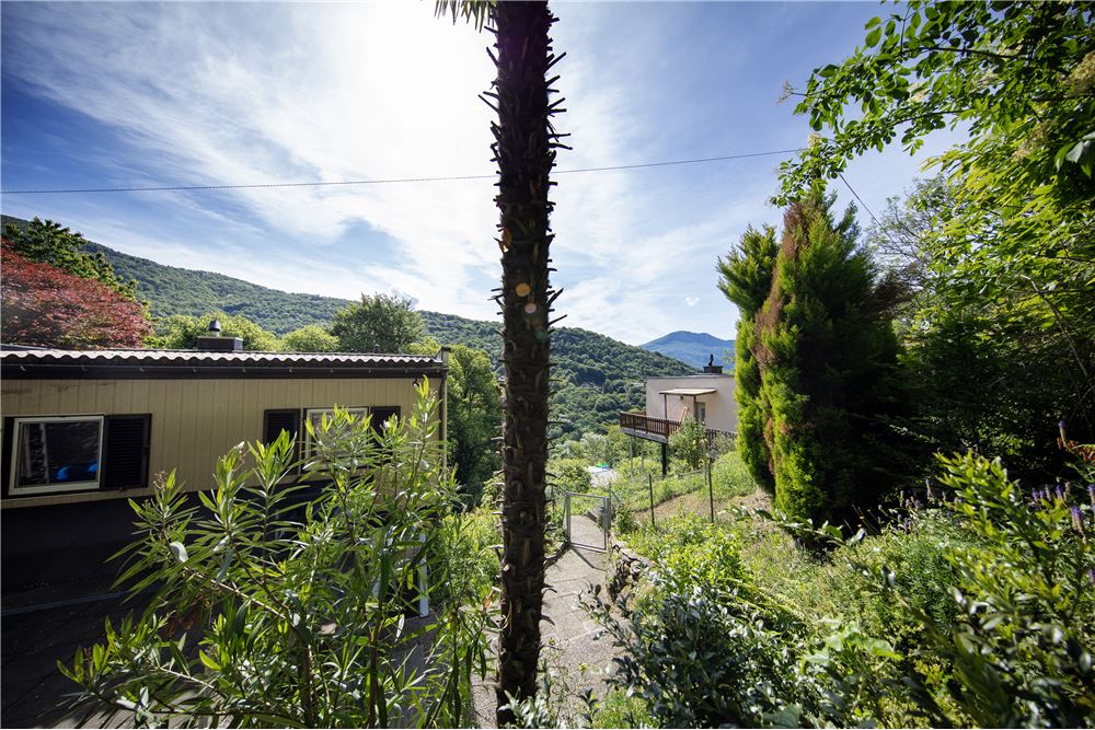 Einfamilienhaus - Kauf - Odogno, Tessin - 124 - 119871001-194