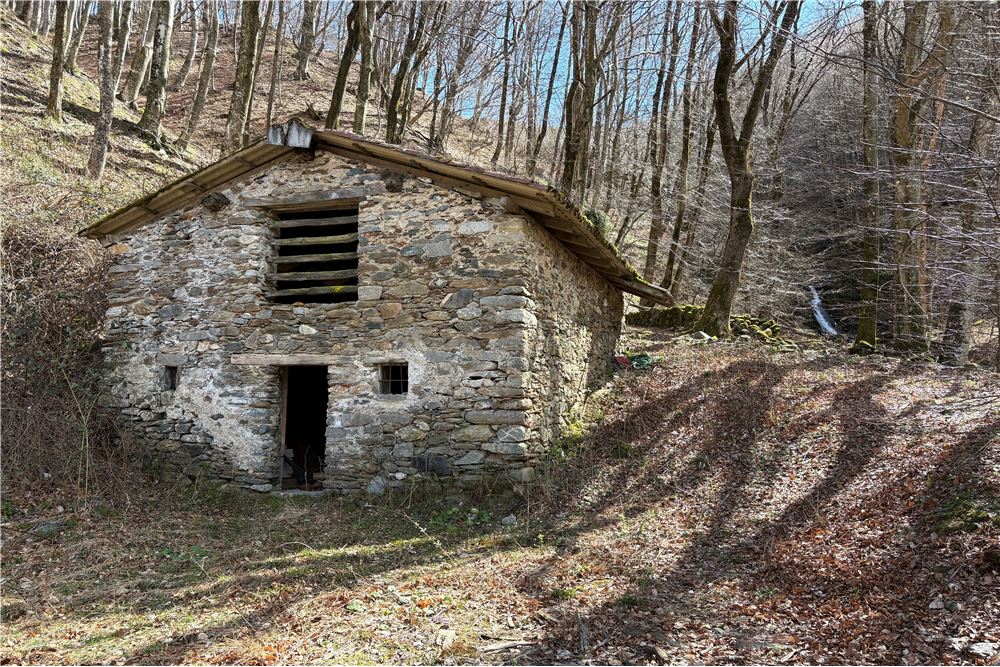Einfamilienhaus - Kauf - Certara, Tessin - 10 - 119001076-169