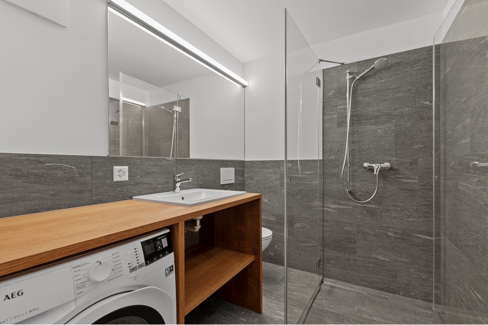 Ferienwohnung - Kauf - Surrein (Sumvitg), Graubünden - HDR_6729.jpg - 119141007-719