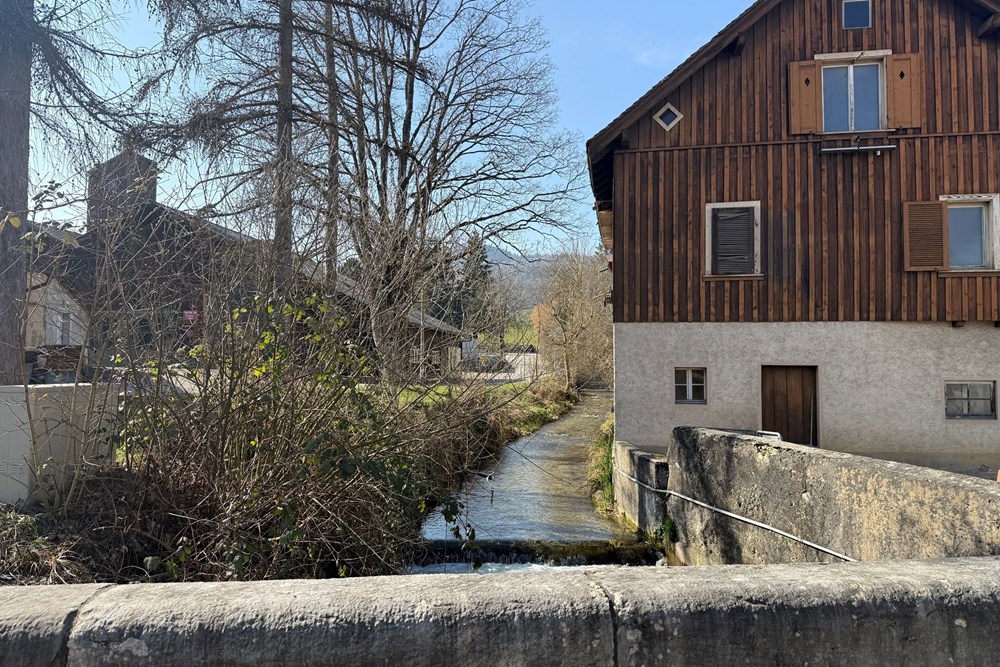 Einfamilienhaus - Kauf - Ziefen, Basel-Landschaft - ZIEFEN-22.JPG - 118921009-378