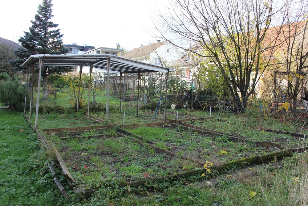 Wohnung - Kauf - Liestal, Basel-Landschaft - IMG_0470.JPG - 110031007-346