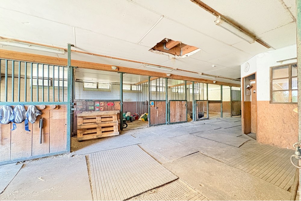 Bauernhof - Kauf - Belp, Bern - Oberaar-24.jpg - 119241015-253