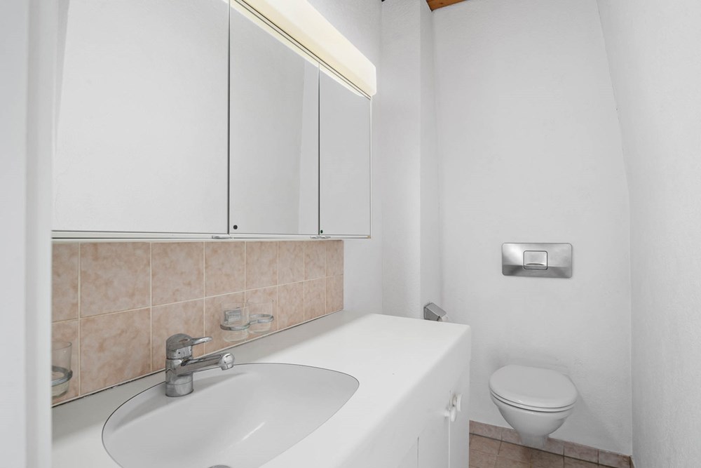 Einfamilienhaus - Kauf - Wohlen AG, Aargau - 2. Gaeste WC.jpg - 111241001-30