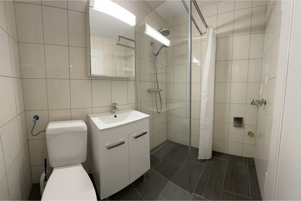 Gartenwohnung - Kauf - Kriens, Luzern - IMG_3595.jpg - 118181061-10