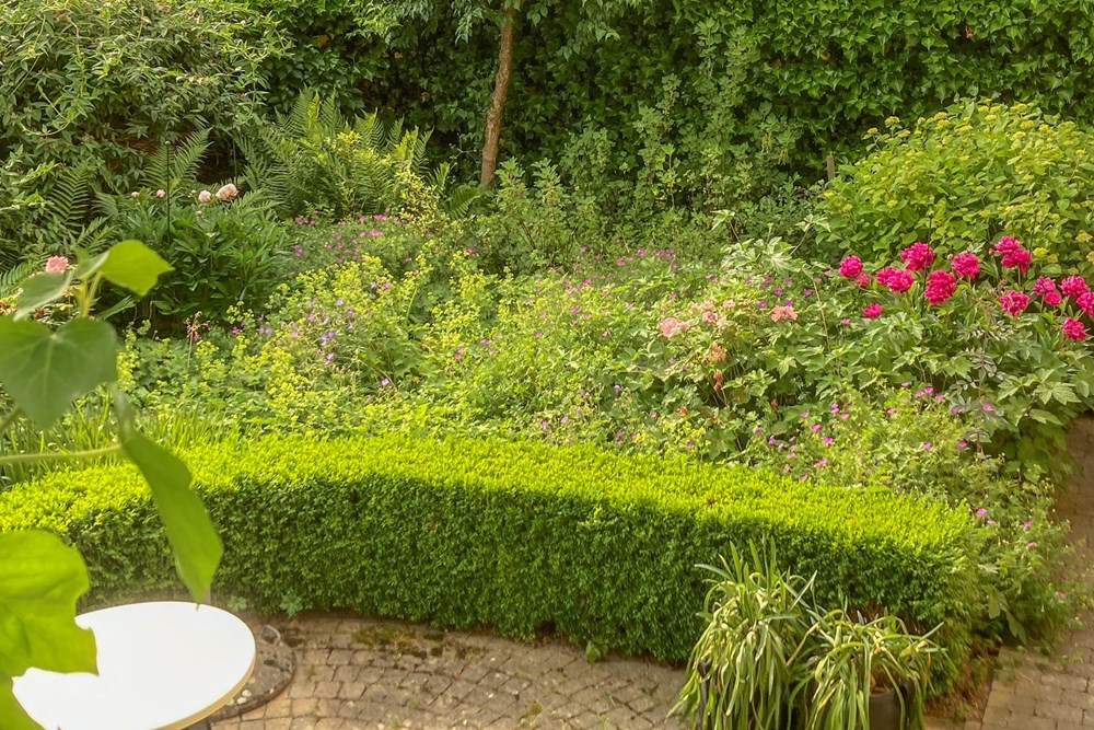 Einfamilienhaus - Kauf - Zollikofen, Bern - IMG_4894.jpg - 119621006-329