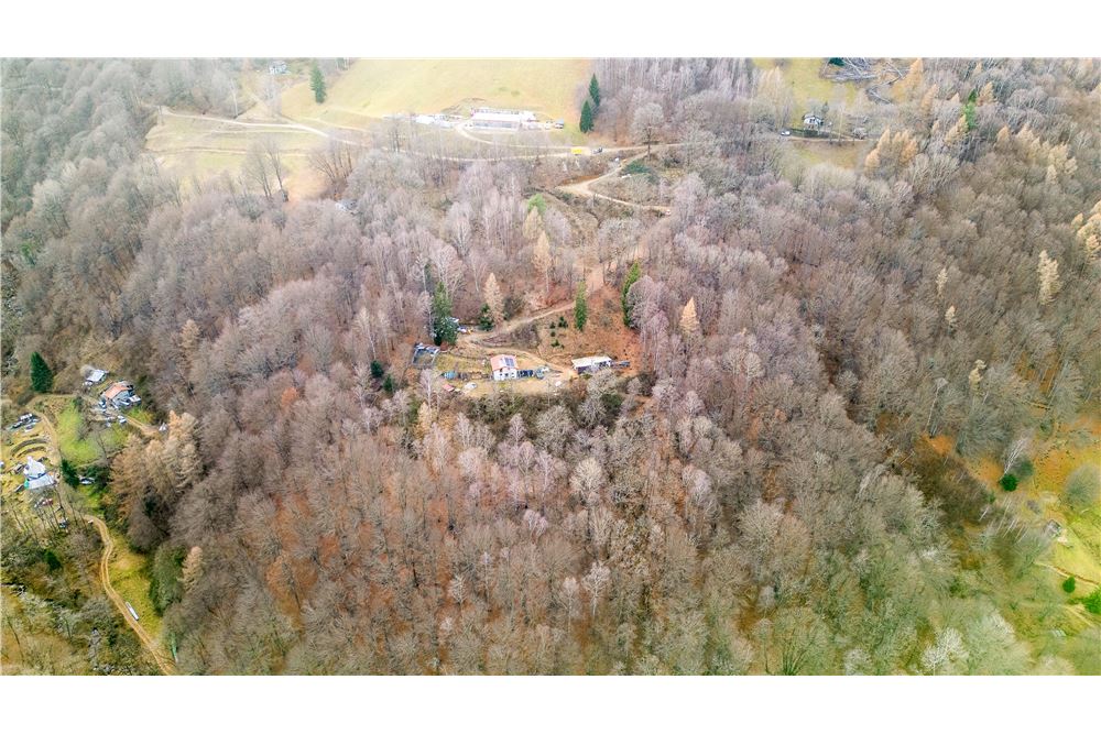 Landhaus - Kauf - Cimadera, Tessin - 19 - 119881007-1