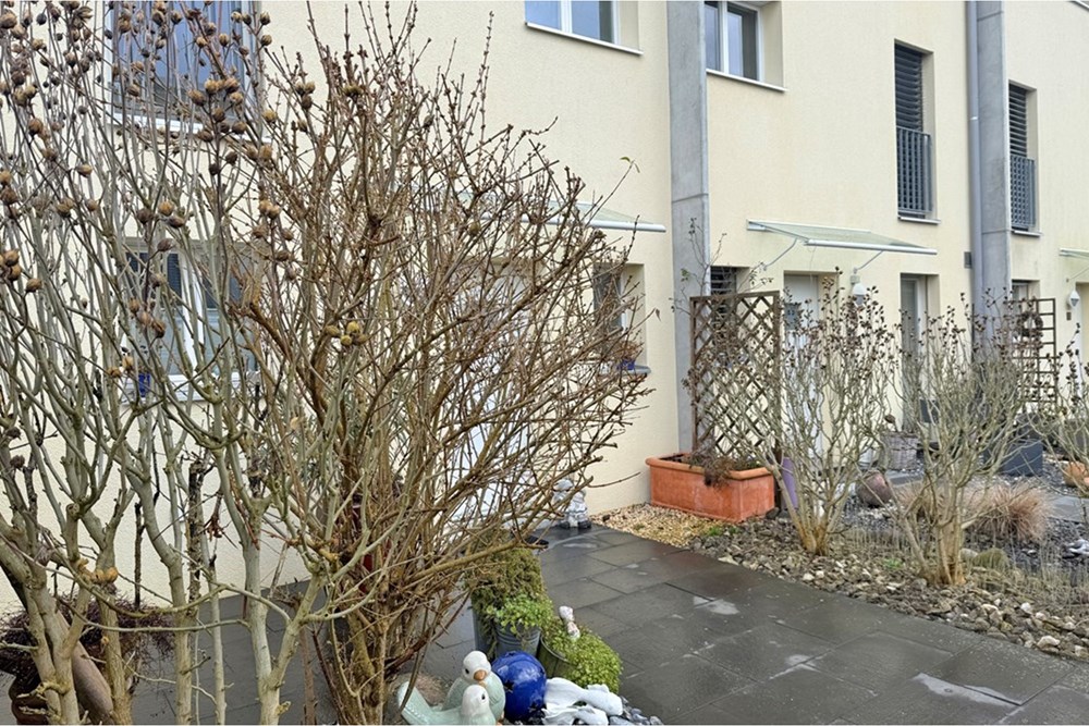 Einfamilienhaus - Vermietung - Bremgarten AG, Aargau - ERLEN08-21.jpg - 118921009-367