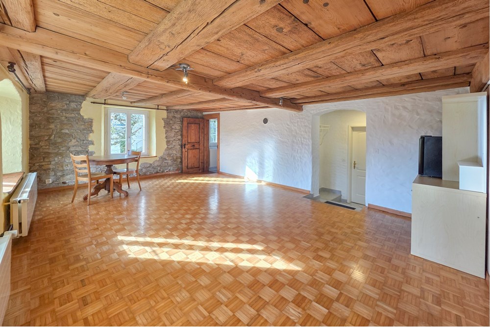 Einfamilienhaus - Kauf - Schinznach Dorf, Aargau - 20251029_140712.JPG - 119241016-289