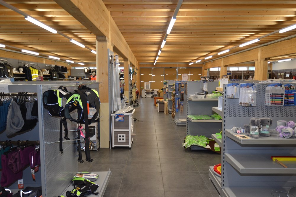 Geschäftshaus - Kauf - Niederbipp, Bern - DSC_0081.JPG - 110031036-82