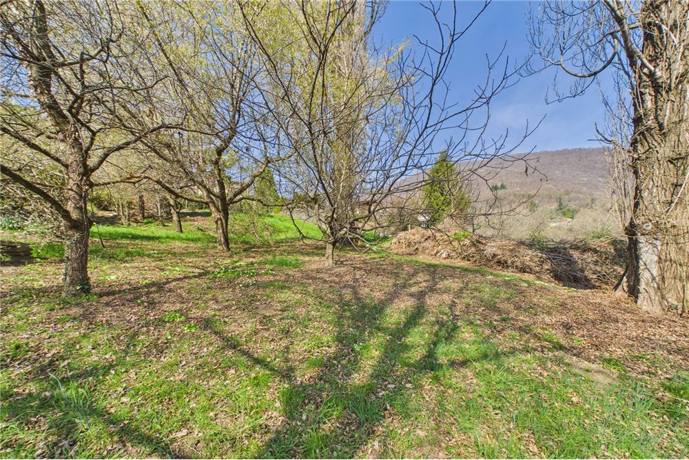 Einfamilienhaus - Kauf - Sessa, Tessin - 71 - 119001001-2950