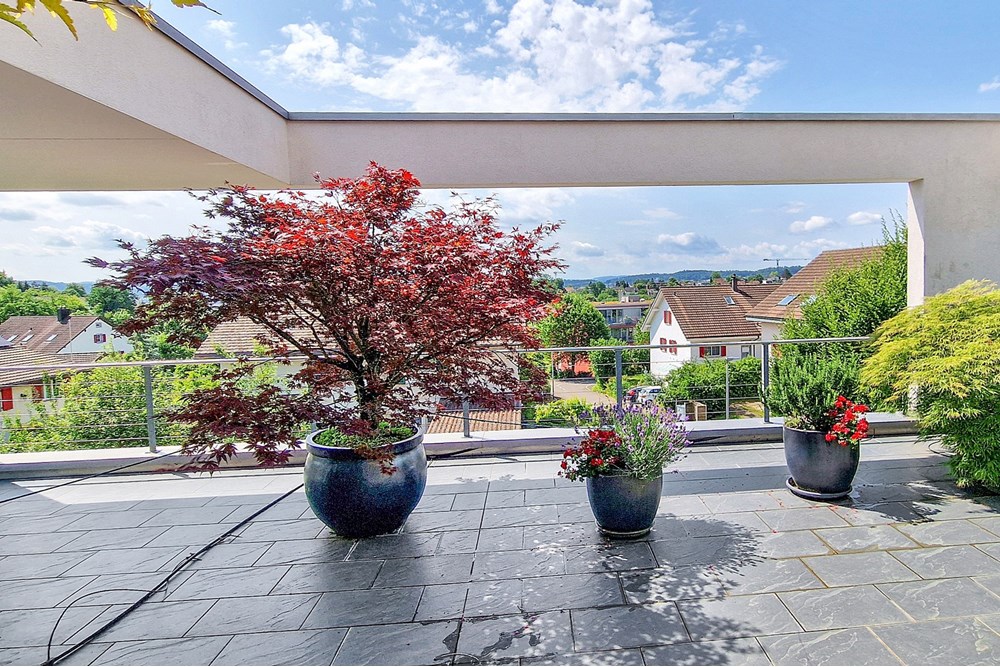 Einfamilienhaus - Kauf - Küttigen, Aargau - F_3zu2_Terrasse von hinten nach Aussen_Eibenweg 1_Küttigen.jpg - 119841002-85