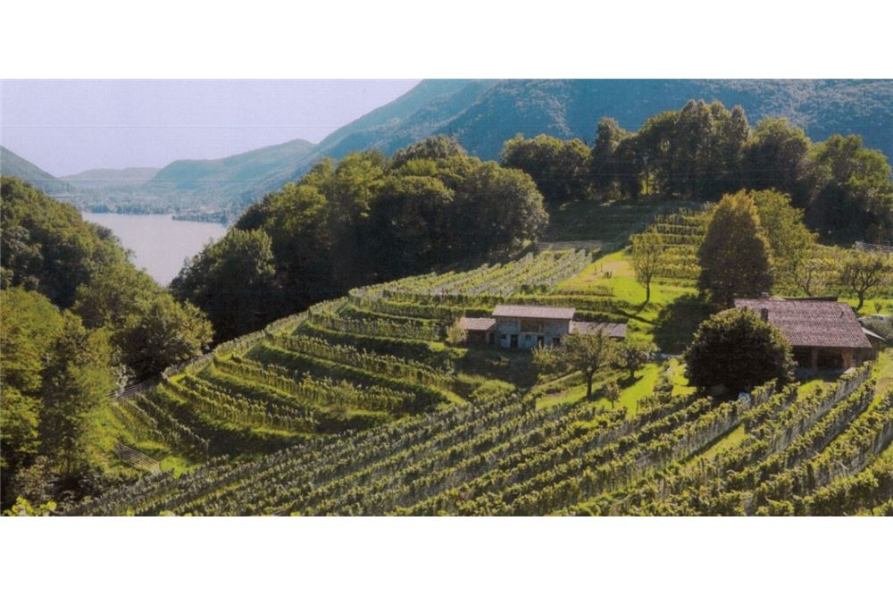 Einfamilienhaus - Kauf - Novazzano, Tessin - 5 - 119001099-23