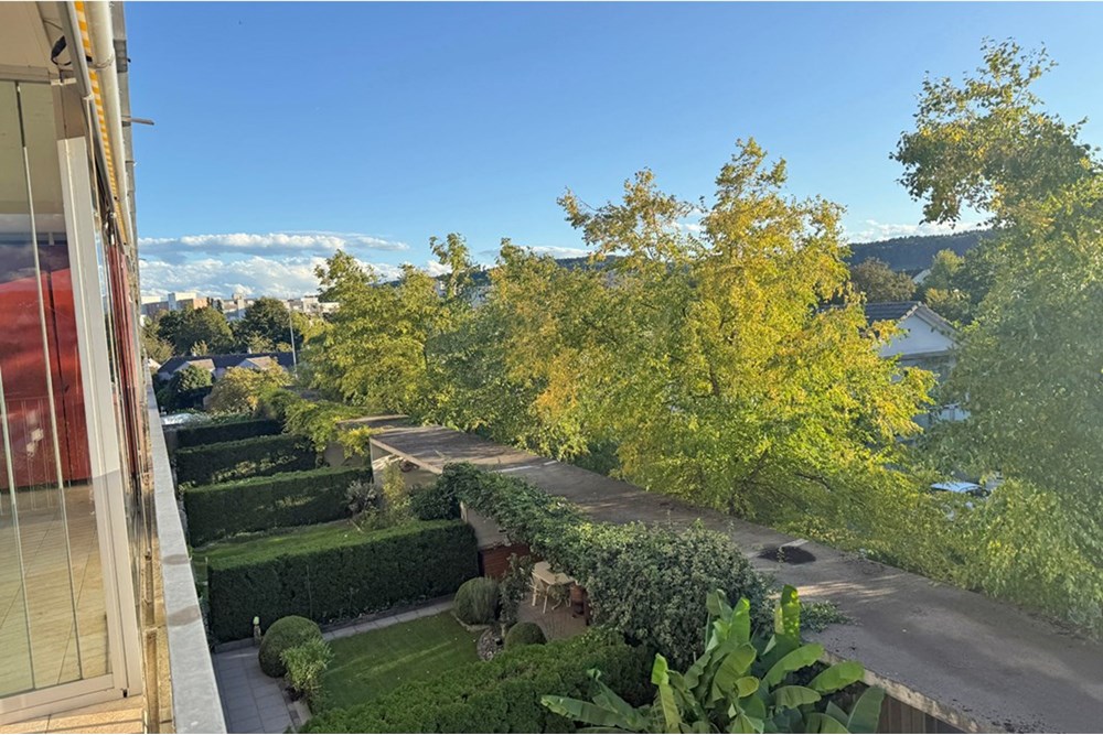 Wohnung - Kauf - Wohlen AG, Aargau - RIGIS09-20.jpg - 118921009-358