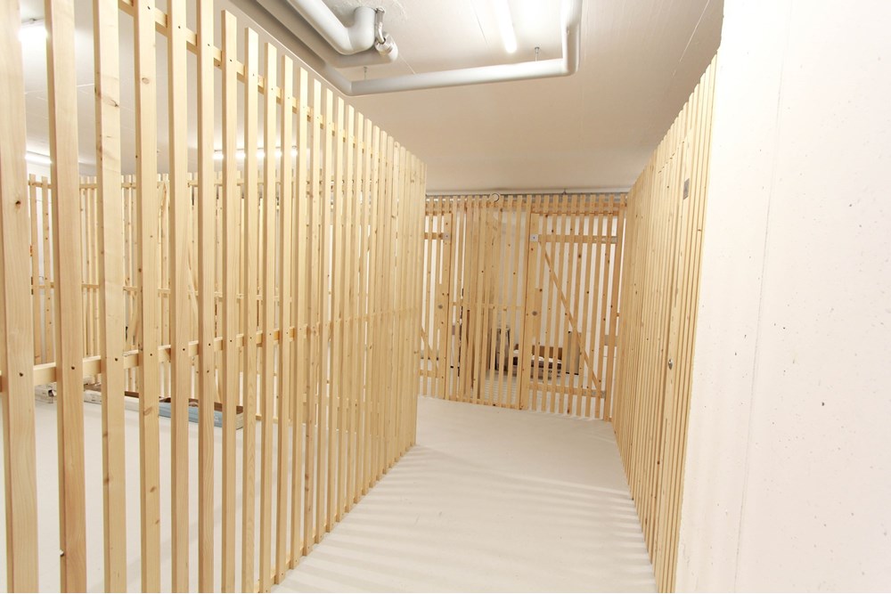 Wohnung - Wohnung - Rütihof (Baden), Aargau - CH - IMG_7192.jpg - 118921007-227