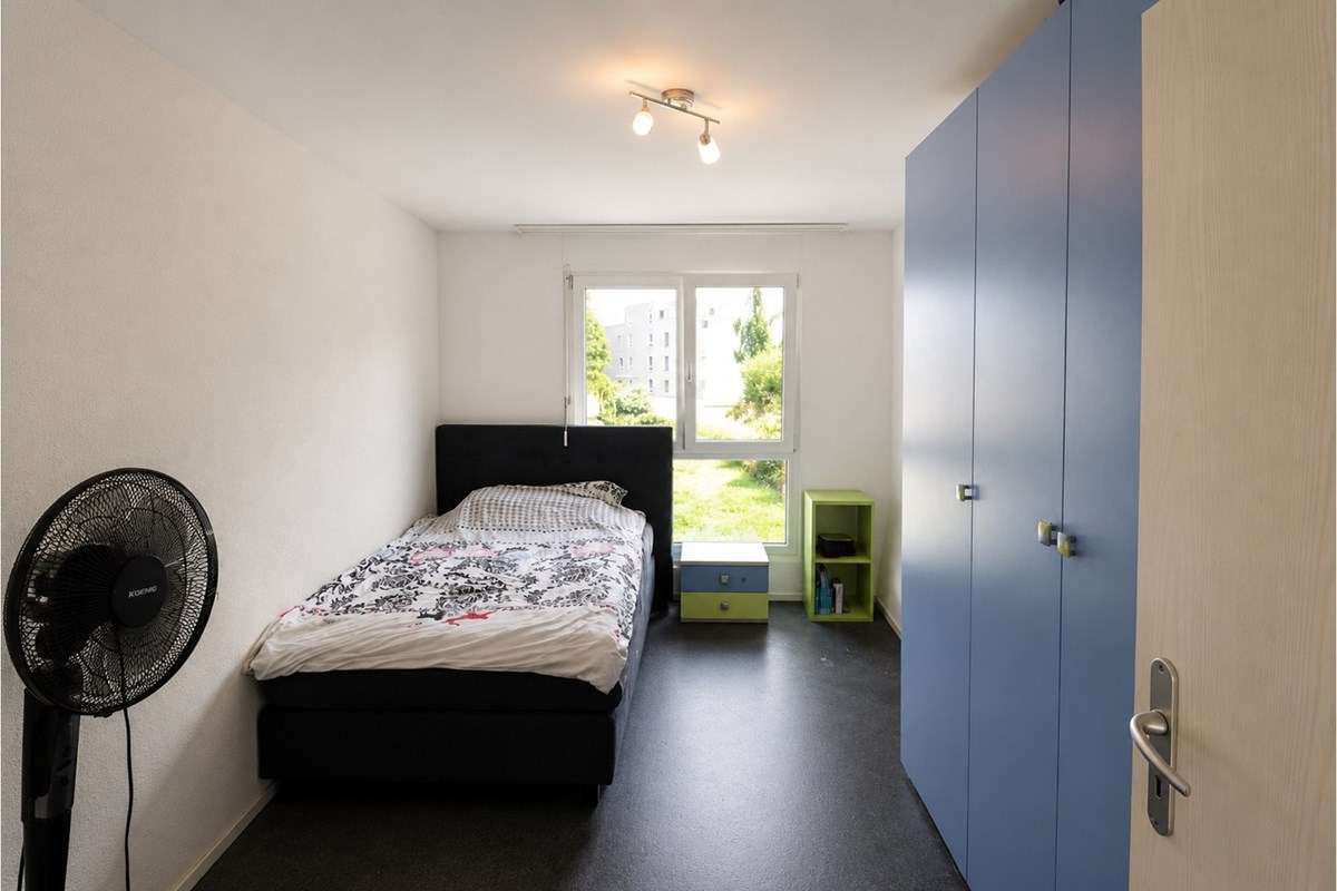 Wohnung - Kauf - Reinach AG, Aargau - Zimmer 1.jpg - Schlafzimmer - 111301001-6