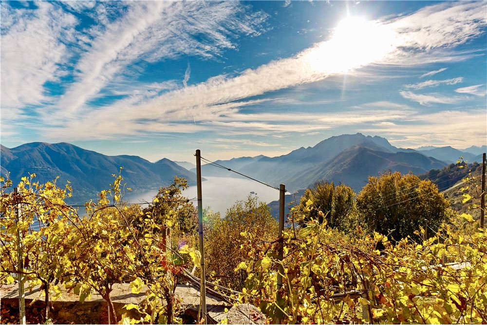 Einfamilienhaus - Kauf - Orselina, Tessin - 110 - 118461080-52