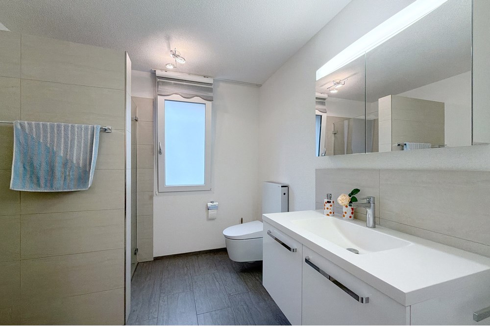 Gartenwohnung - Kauf - Gontenschwil, Aargau - IMG_6849.JPG - 110050029-186