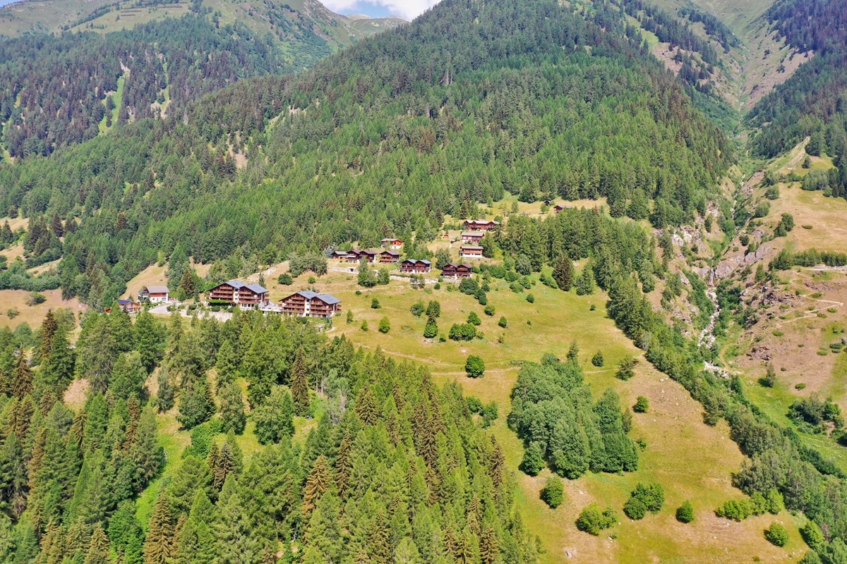 Wohnung - Kauf - Blitzingen, Wallis - DJI_0883.JPG - 110400033-16