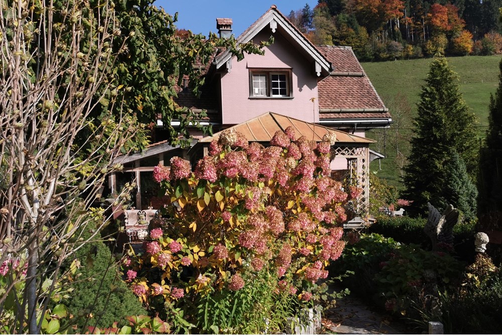 Chalet - Kauf - Dicken bei Degersheim, St. Gallen - IMG_20251018_142108.jpg - 119901001-78