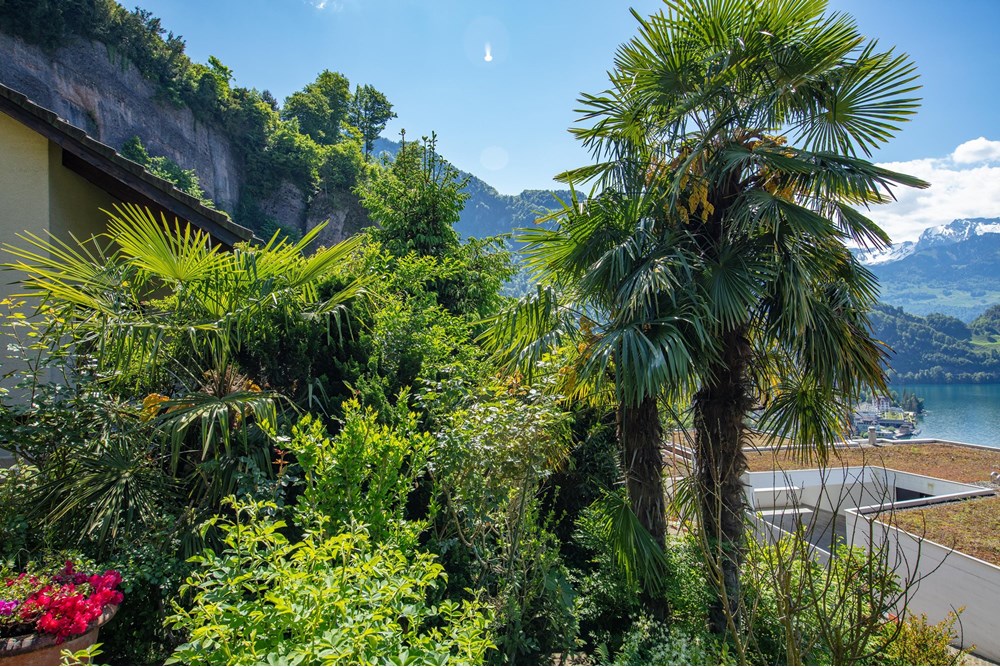 Villa - Kauf - Vitznau, Luzern - 253A6644.jpg - 119871001-102