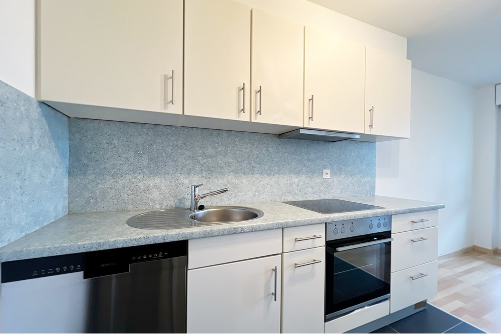 Wohnung - Kauf - Gebenstorf, Aargau - IMG_9426.JPG - 110050043-32