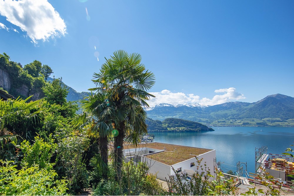 Villa - Kauf - Vitznau, Luzern - 253A6643a.jpg - 119871001-102