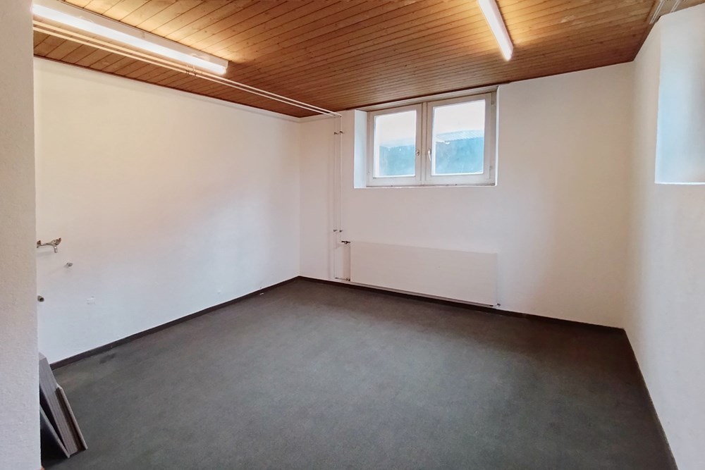 Mehrfamilienhaus - Kauf - Dottikon, Aargau - IMG_7789.JPG - 110050039-76