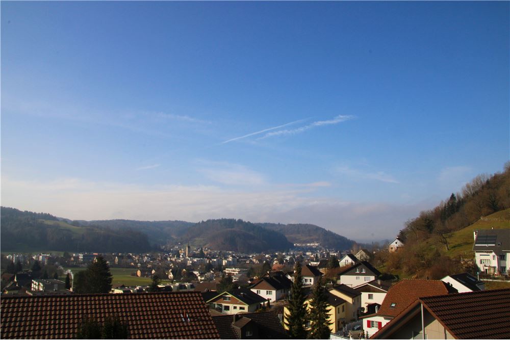 Einfamilienhaus Kauf Granichen Aargau 119761005 159