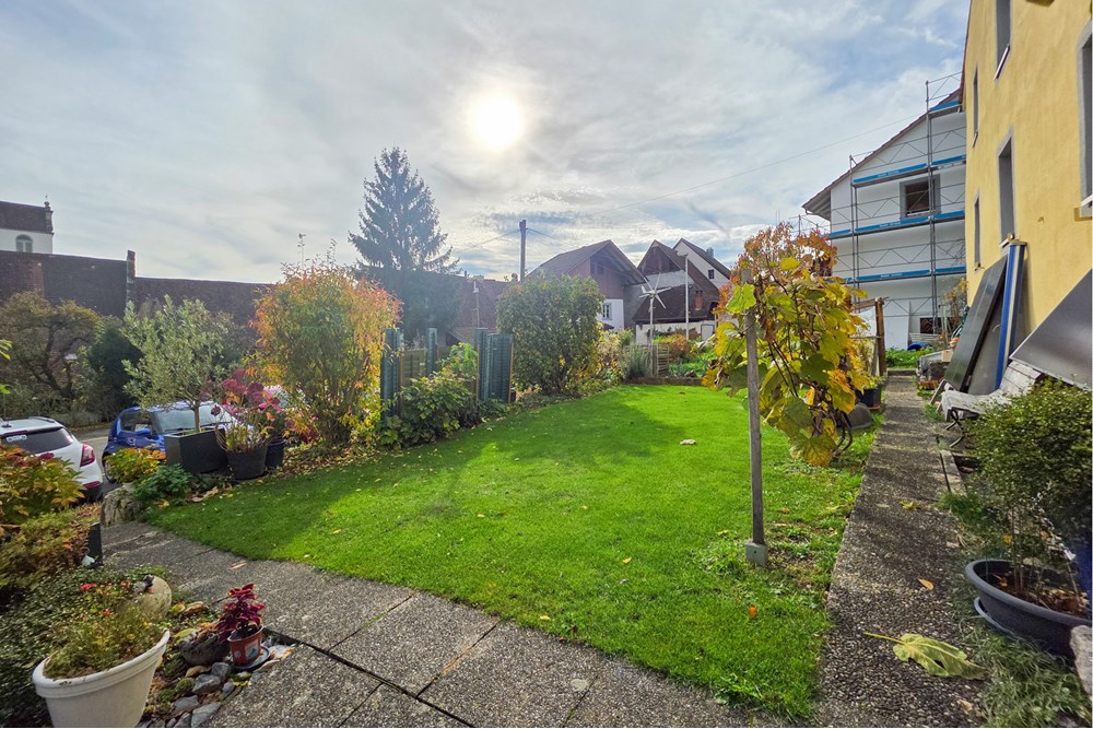 Einfamilienhaus - Kauf - Schinznach Dorf, Aargau - 20251029_135304.JPG - 119241016-289