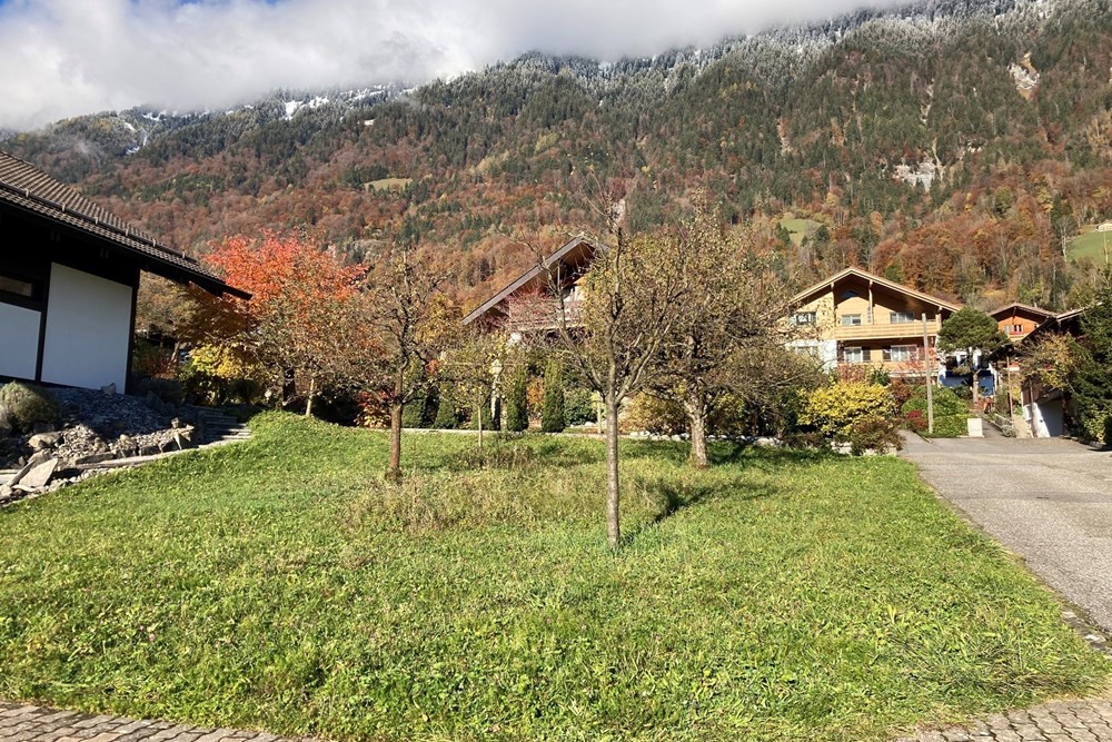 Einfamilienhaus - Kauf - Ringgenberg, Bern - Wiese.jpg - 117671005-582