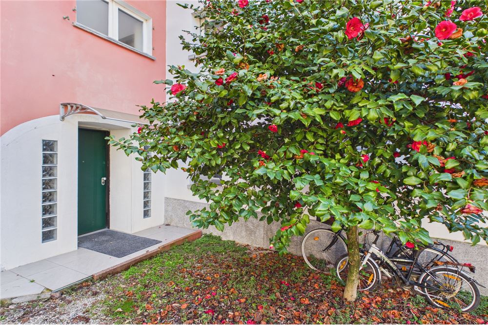 Einfamilienhaus - Kauf - Arbedo, Tessin - 18 - 119001050-311