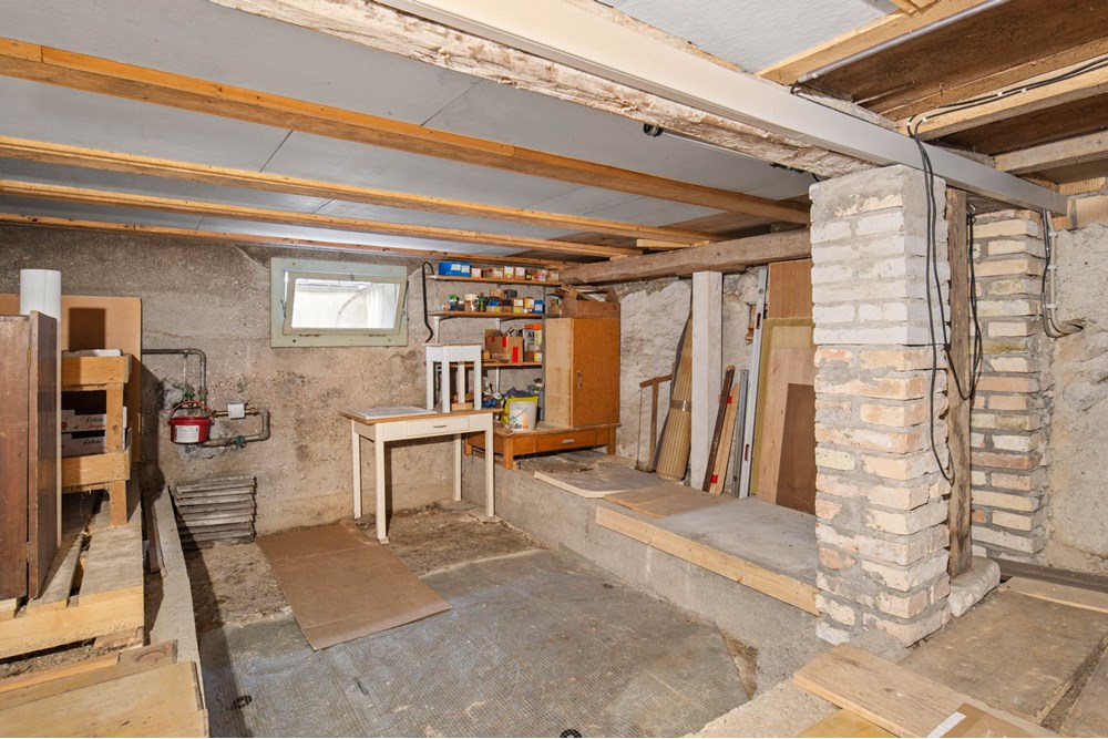 Doppelhaushälfte - Kauf - Fischenthal, Zürich - 033 - Tösstalstrasse 333, 8497 Fischenthal (Daniel Blake Fotografie).jpg - 110460007-1289