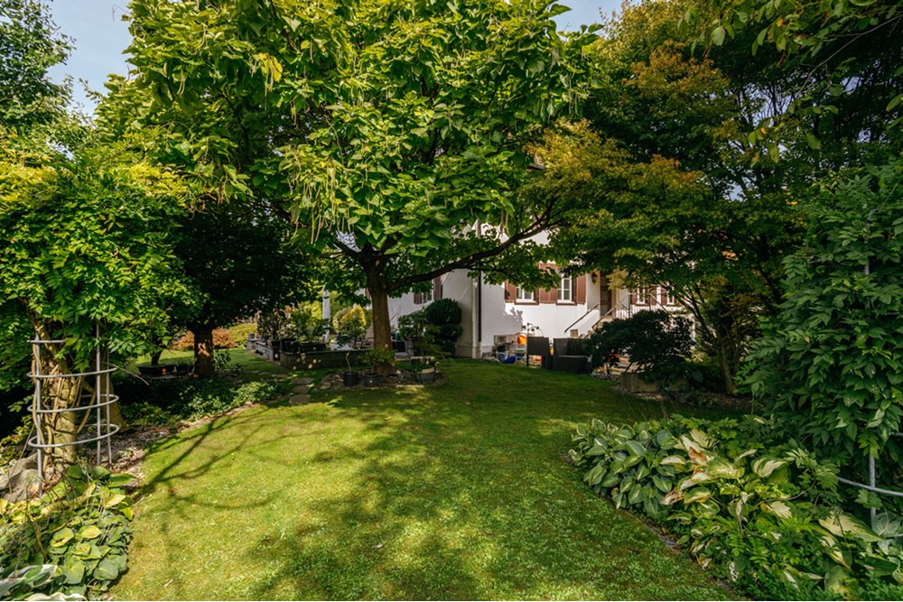 Residential - House - Eggenwil, Aargau - CH - HOFORSTRASSE-6.jpg - 118921009-359