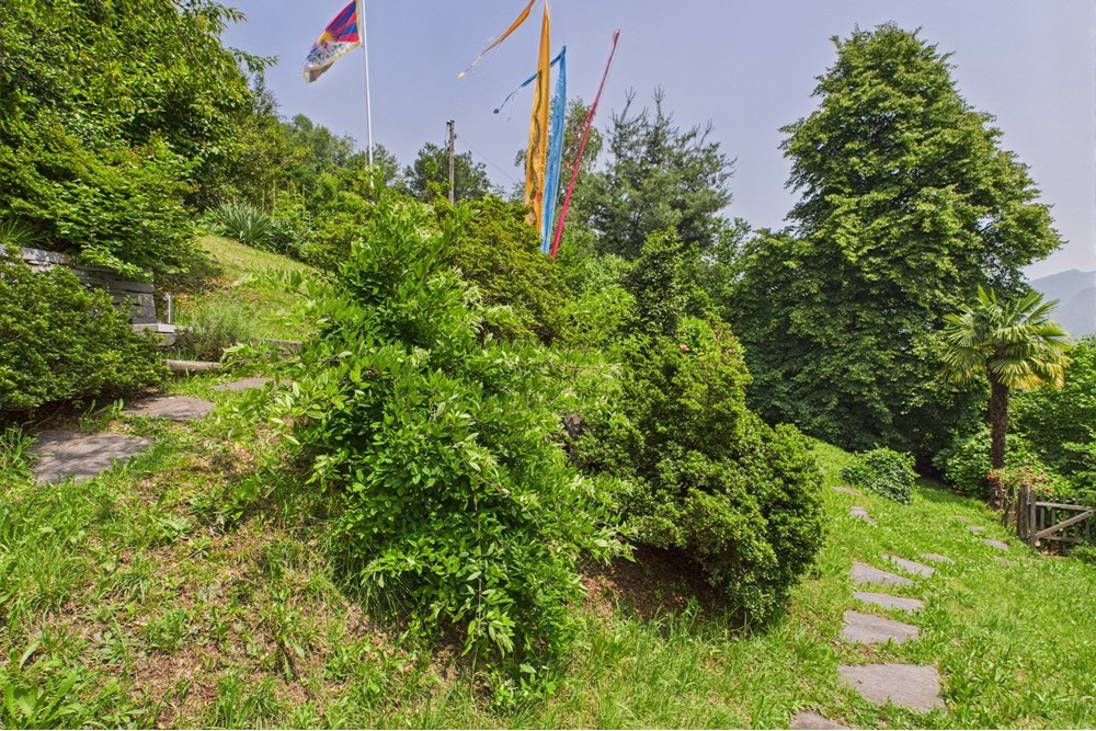 Einfamilienhaus - Kauf - Roveredo, Tessin - CAM02262G0-PR0517-STILL004.jpg - 119001050-293