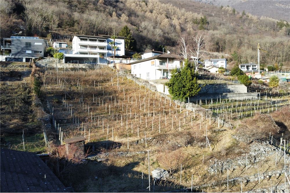 Wohnung - Kauf - Lumino, Tessin - 22 - 119001001-2843