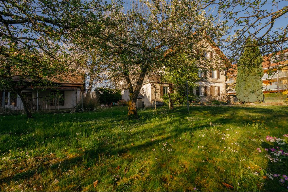 Residential - Plot of Land for Hospitality Development - Fahrwangen, Aargau - CH - 19 - 118921025-77