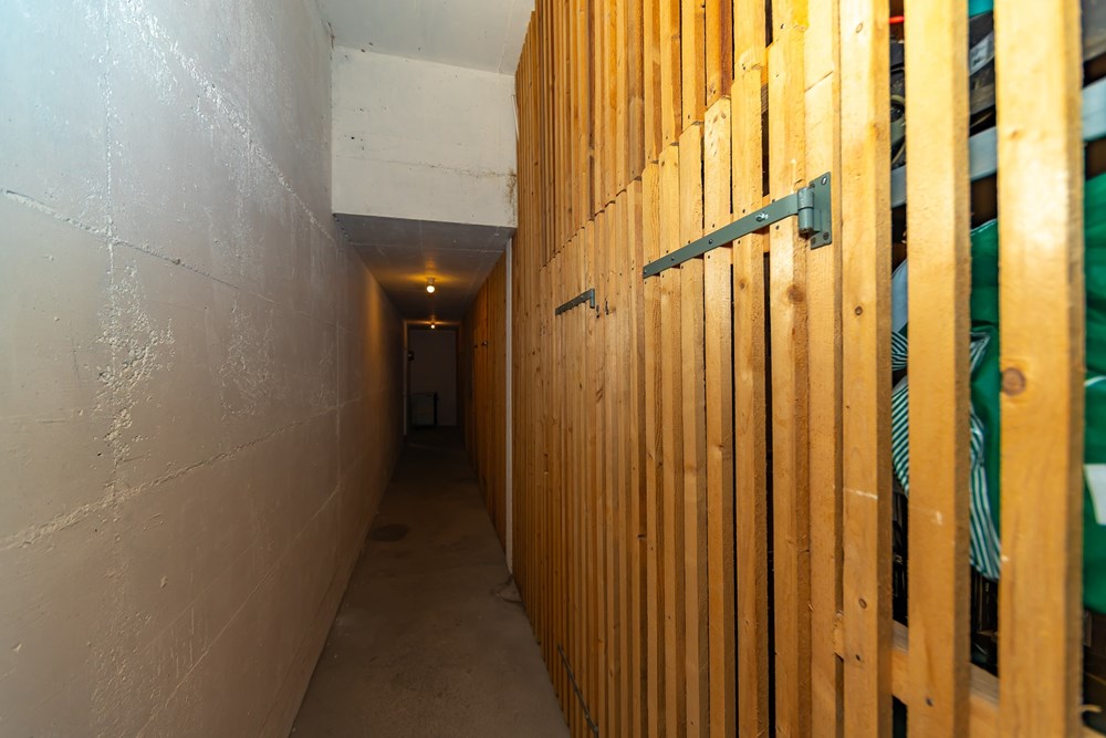 Terrassenhaus - Kauf - Engelberg, Obwalden - IMG_2499.jpg - 110250005-427