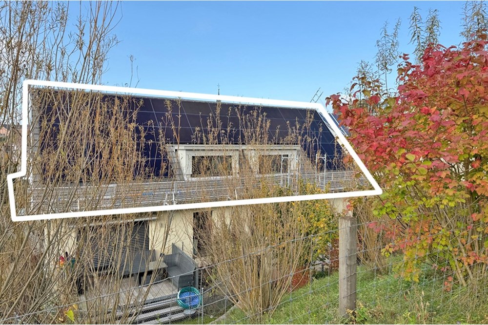 Wohnung - Wohnung - Jonen, Aargau - CH - IMG_2555 Kopie.jpg - 118921009-361