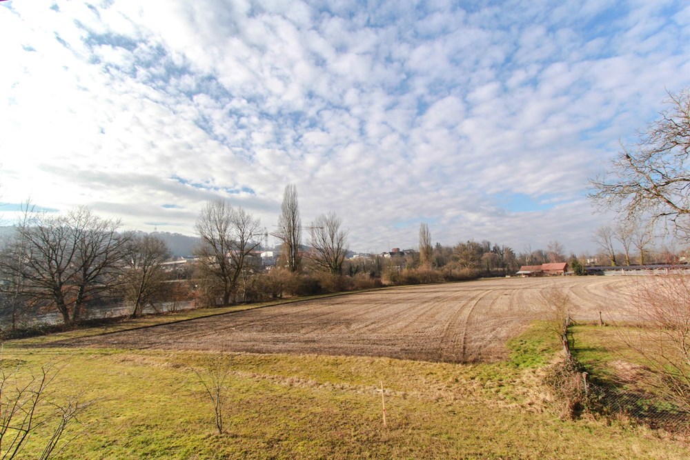 Wohnung - Kauf - Bremgarten AG, Aargau - IMG_8398.jpg - 118921007-229