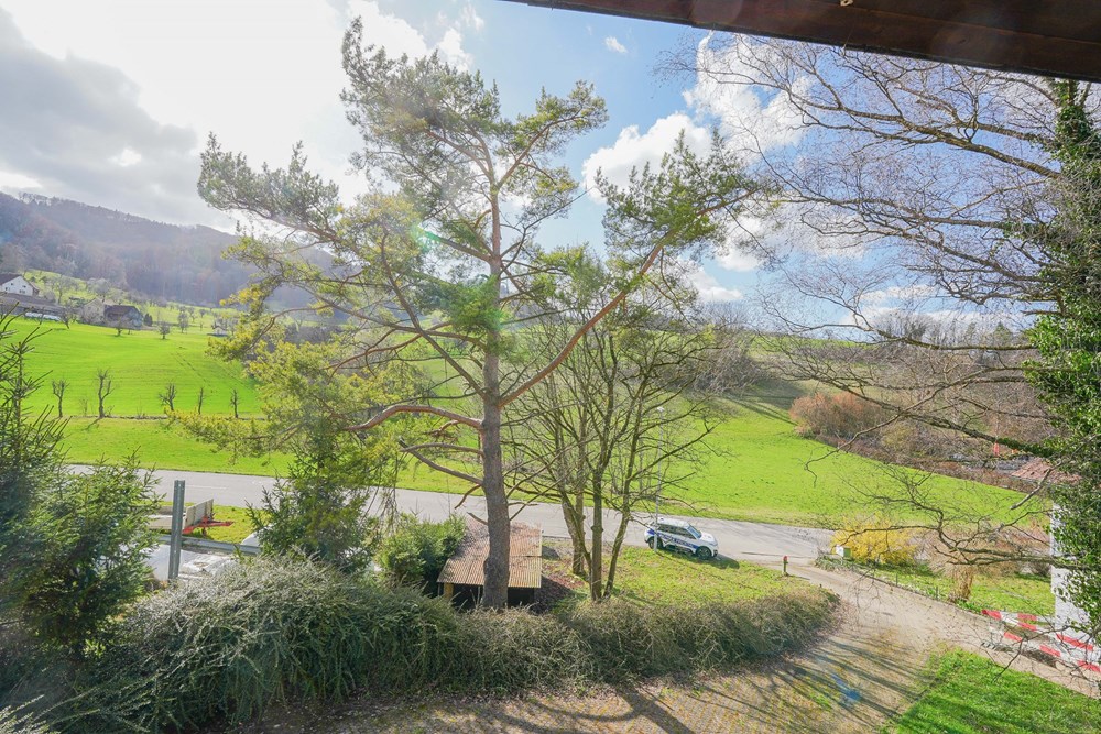 Einfamilienhaus - Kauf - Kienberg, Solothurn - kienberg-wittnauerstrasse-haus-zukaufen-remaxfrick2 (17 von 17).jpg - 110091005-1541